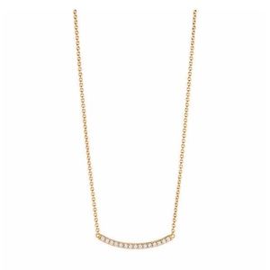 BRAND NEW Gold “I will preserve” Curved Necklace